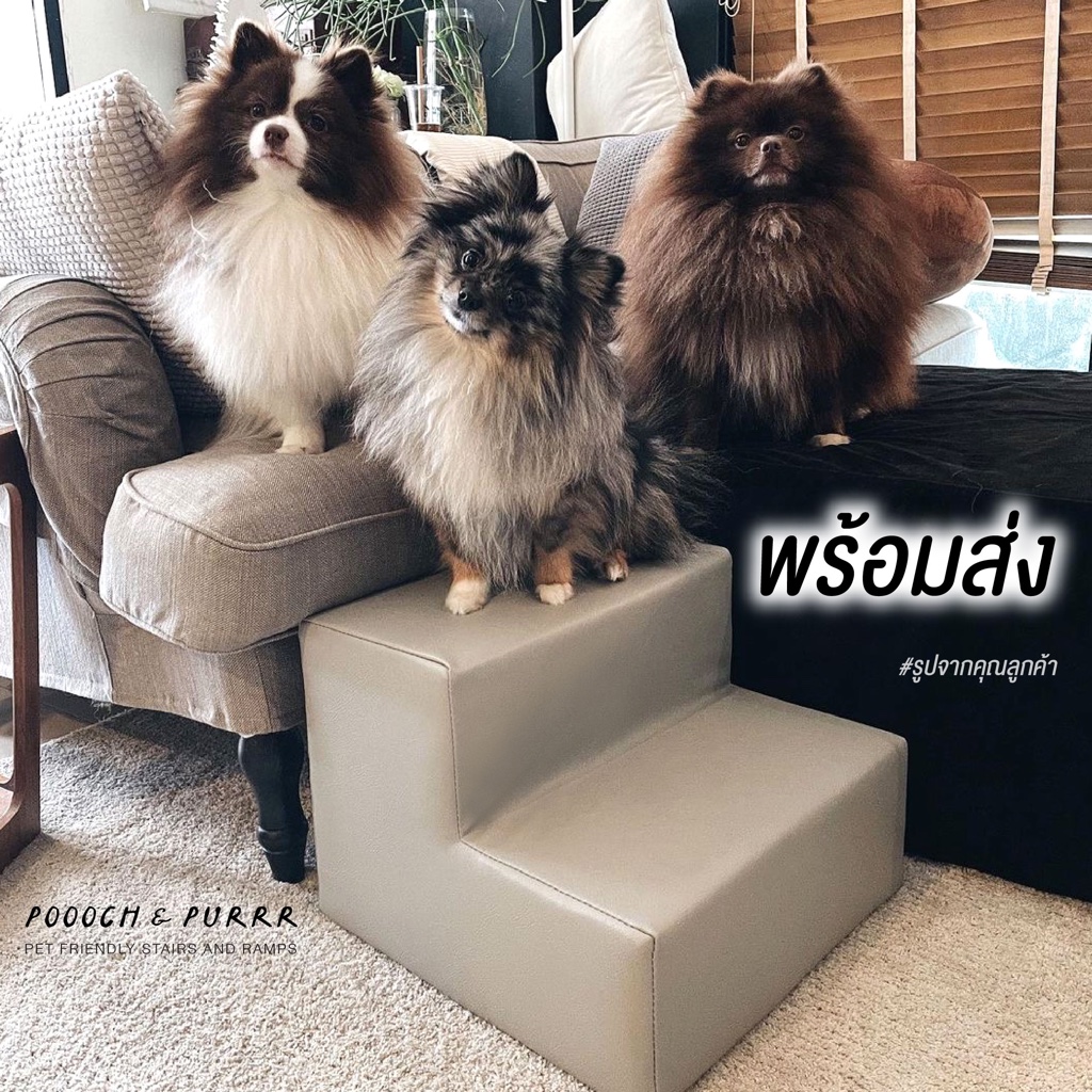 POOOCH & PURRR พูชแอนดเพอร์ dog ramp | ทางลาด บันไดสุนัข บันไดน้องหมา สูง 40 cm รุ่น FOLD40