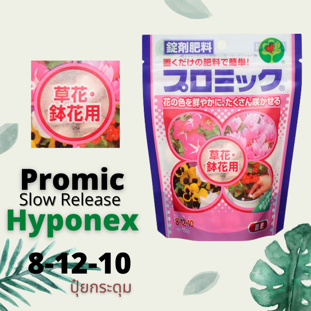 HYPONEX PROMIC 8-12-10 ไฮโปเน็กซ์ ปุ๋ยกระดุมละลายช้า 2เดือน