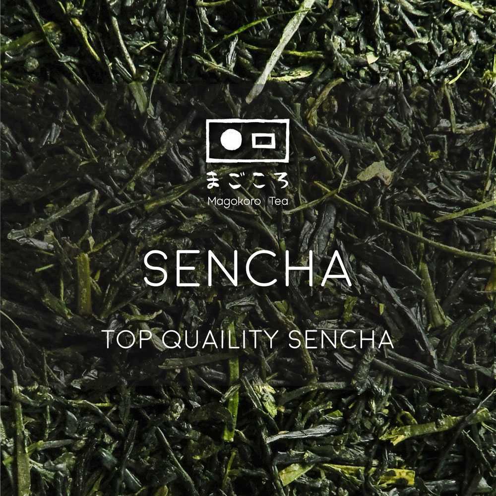 มีใจให้มัทฉะ 真心 Sencha และ Kabusecha ฤดูเก็บเกี่ยวแรก ใบชาเขียวญี่ปุ่นคุณภาพสูง ไร่ชารางวัล เซนฉะ คาบูเซฉะ