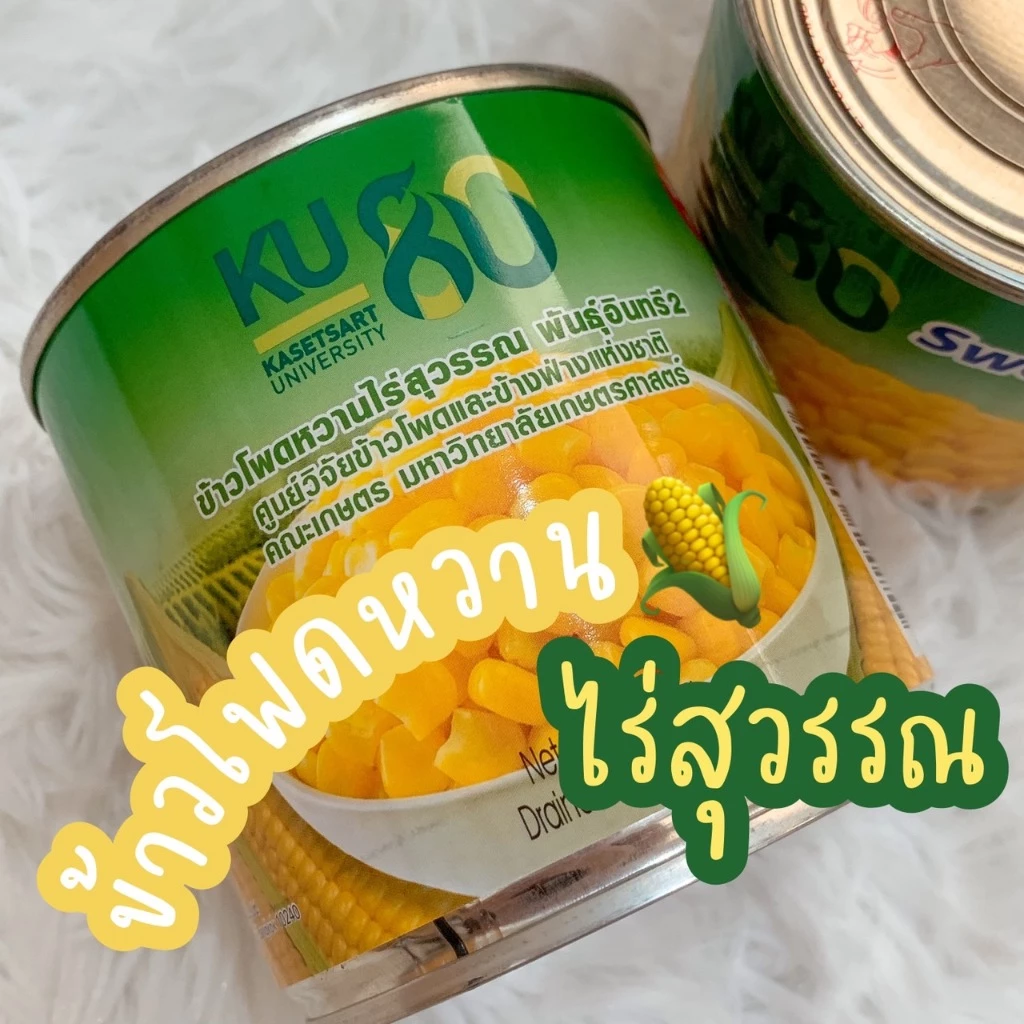 ข้าวโพดหวาน ไร่สุวรรณ sweet corn พันธุ์อินทรี2 ศูนย์วิจัยข้าวโพดและข้าวฟ่างแห่งชาติ มหาวิทยาลัยเกษตรศาสตร์