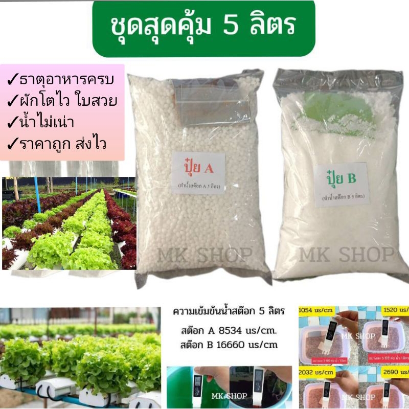 ซื้อ ชุดปุ๋ยเอบีผสม**ขนาด5ลิตร**ปุ๋ยไฮโดรโปนิกส์ ปุ๋ยAB ปุ๋ยน้ำ ปุ๋ยเอบี ปุ๋ยผักสลัด ปุ๋ยผักHydroponics สูตรปรับปรุงใหม่