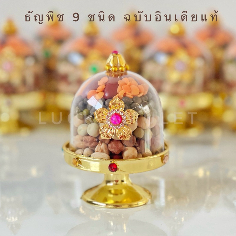 ธัญพืช 9 ชนิด ฉบับอินเดียแท้