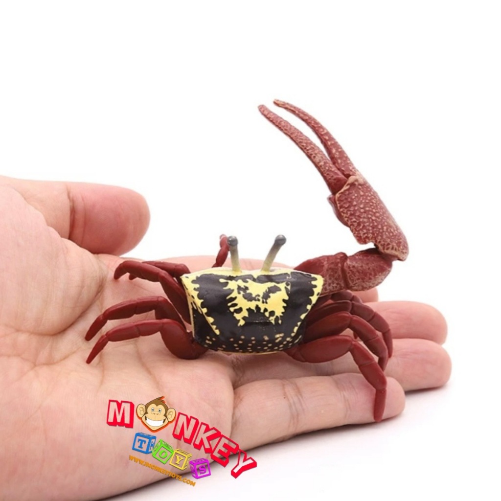 Monkey Toys โมเดลสัตว์ Cow วัว บราห์มัน แดง ขนาด 13.00 CM (จากหาดใหญ่)