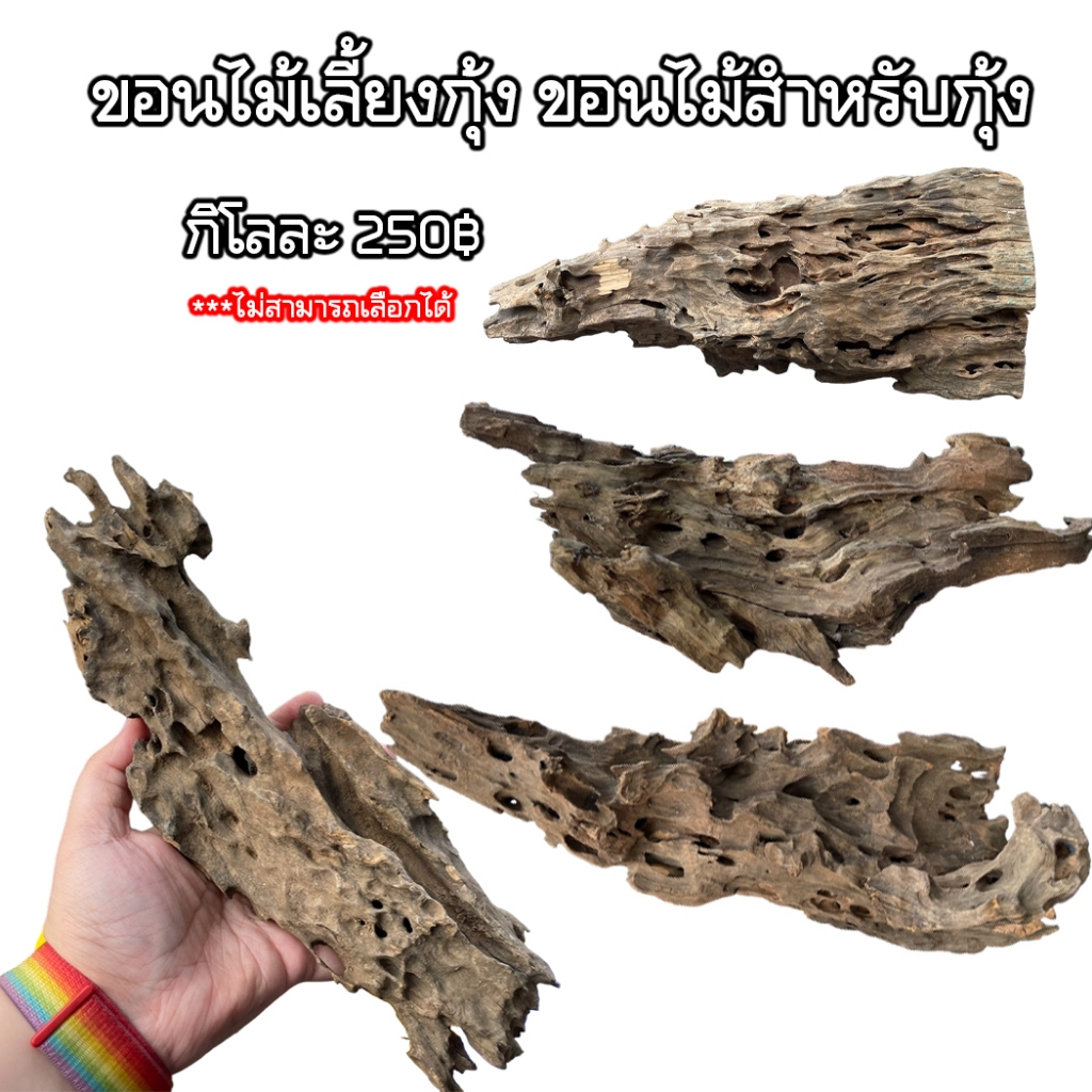 ขอนไม้เลี้ยงกุ้ง รากไม้ เศษไม้ Driftwood Natural Wood Root ตู้ไม้น้ำ ตู้ปลา บอนไซ กิโลละ 250บาท