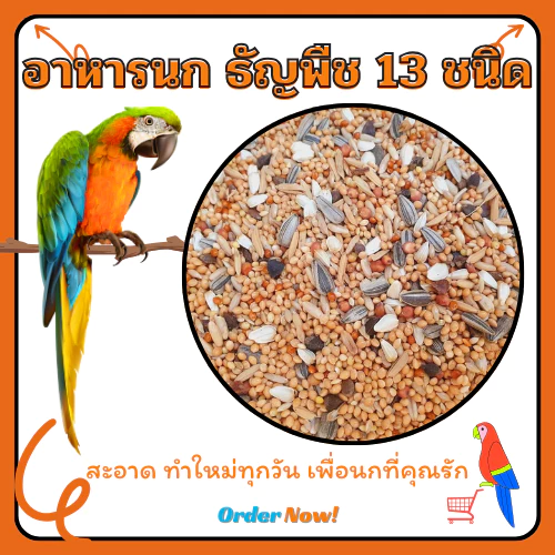ธัญพืช 13 อย่าง**1 กิโลกรัม สุดคุ้ม**สำหรับนกฟอพัส เลิฟเบิร์ด กรีนชีค ค๊อกคาเทล ซันคอนัวร์ สะอาดคัดเกรด
