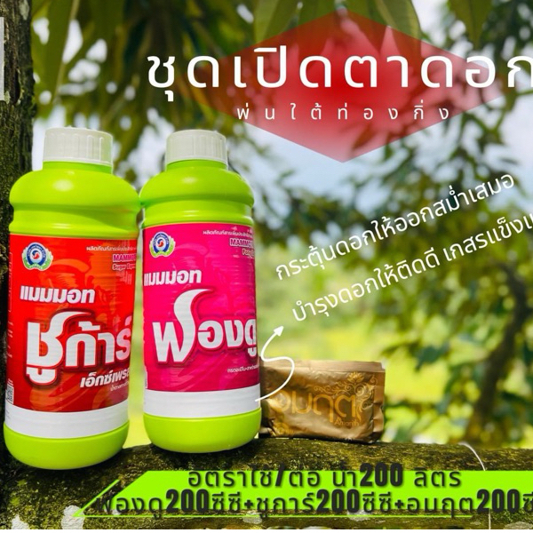 ชุดเปิดตาดอก เทพวัฒนา 1 ชุด มี 3 ชิ้น
