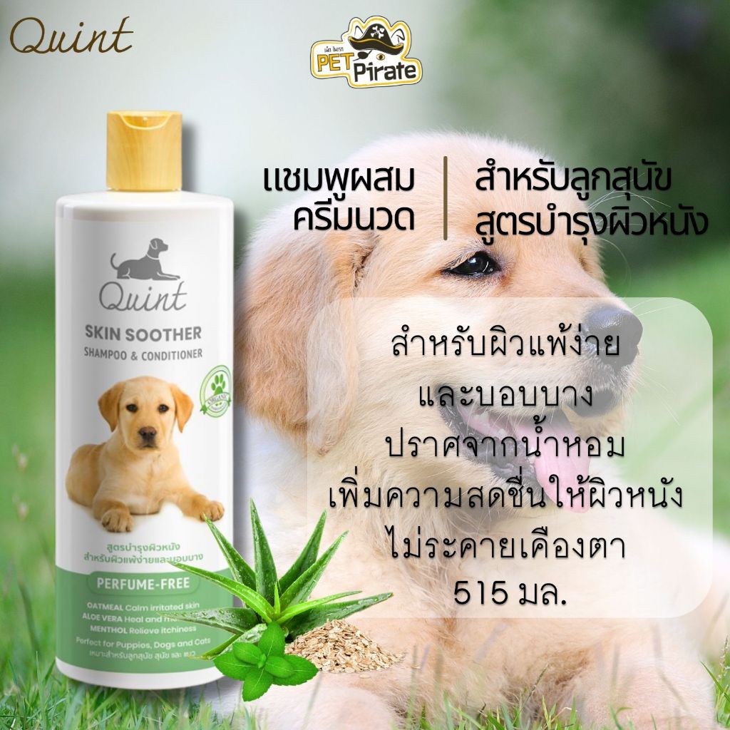 ควินท์ แชมพูผสมครีมนวด สูตรบำรุงผิวหนัง ปราศจากน้ำหอม 515 มล. เพิ่มความสดชื่นให้ผิวหนัง ระงับคัน สำหรับสุนัขและแมว