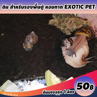 ดินเลี้ยงทาก หอยทาก ดินรองพื้นตู้ Vivarium Exotic pet ลิตรละ 50 บาท