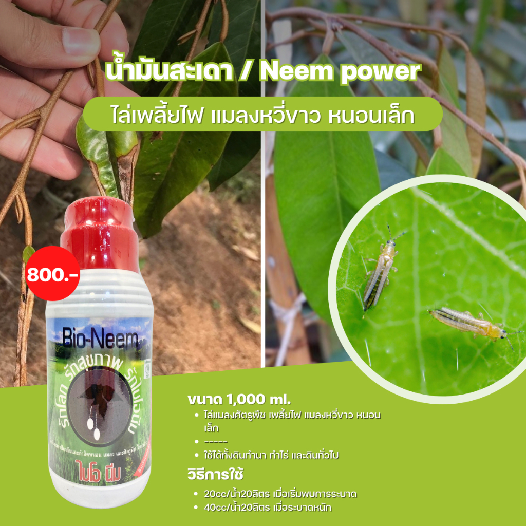 น้ำมันสะเดา / Neem power 1,000 ml.