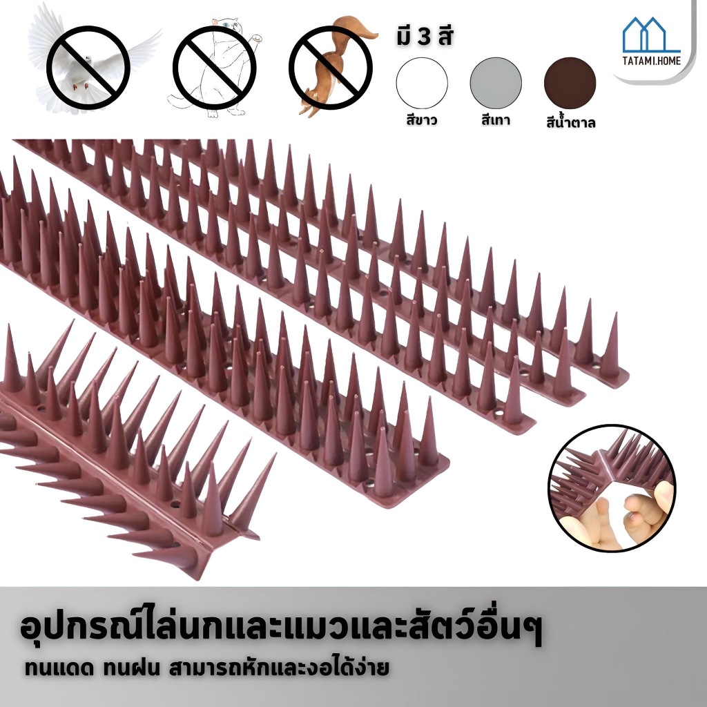 หนามไล่นก หนามไล่นก หนามไล่นก หนามไล่นก อุปกรณ์ไล่นก หนามไล่นก