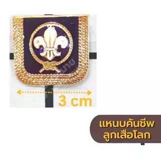 เครื่องหมายลูกเสือโลก เข็มคันชีพ เข็มลูกเสือโลก ป้ายเย็บลูกเสือโลก แหนบคันชีพ เครื่องหมายประดับลูกเสือ