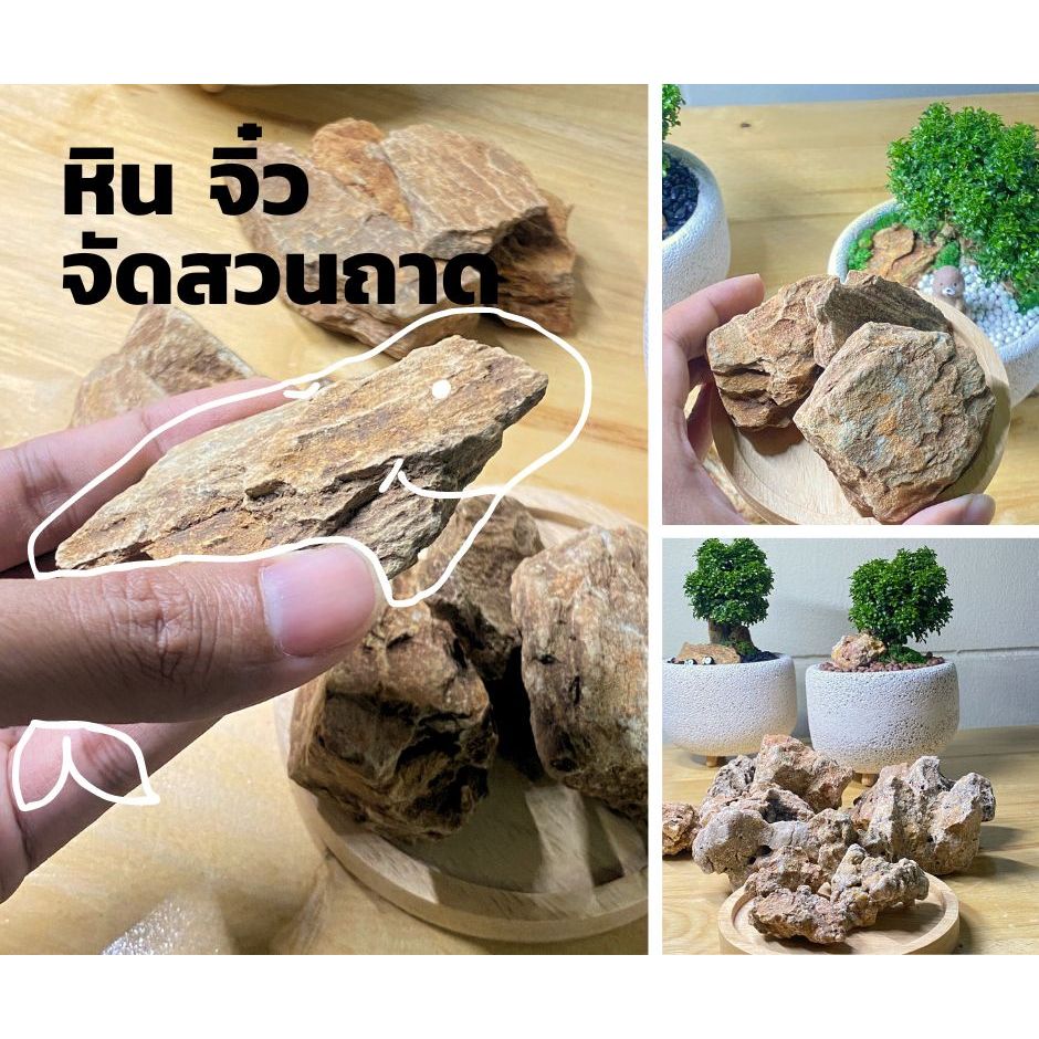 หินจัดสวนถาด | หินรูพรุน | หินชั้น ขนาดจิ๋วๆ สำหรับกระถางขนาด 4-6 นิ้ว