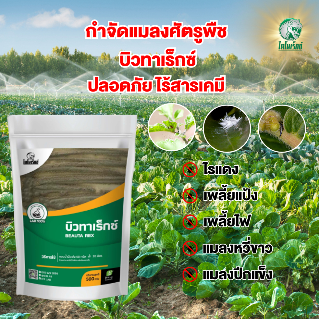 ยากำจัดแมลง บิวเวอร์เรีย+เมธาไรเซียม ป้องกันแมลง เพลี้ยไฟ ไรแดง แมลงหวี่ขาว  ปลอดภัยต่อคน ไม่มีสารเคมี ขนาด 500 กรัม