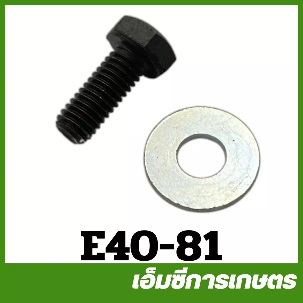 E40-81 น็อตยึดครัช หัวน็อตเบอร์ 10 น็อต 410 411 เครื่องตัดหญ้า