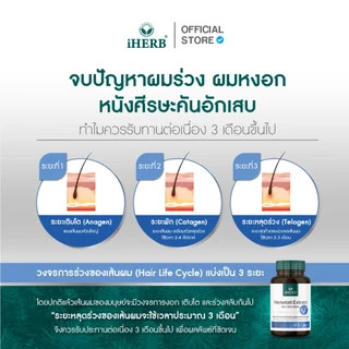 [1 เเถม 1]Horestail [1กระปุก]สารสกัดหญ้าหางม้า ซิงค์อะมิโน วิตามินช่วยลดผมร่วง รากผมแข็งแรง ผมสวยเงางาม ตรา iHERB [B9]