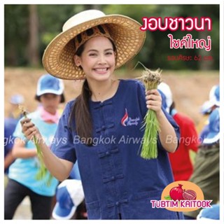 งอบชาวนา ใบลานขนาดใหญ่ เส้นผ่านศูนย์กลาง 40 เซน  เหมาะกับ ผู…