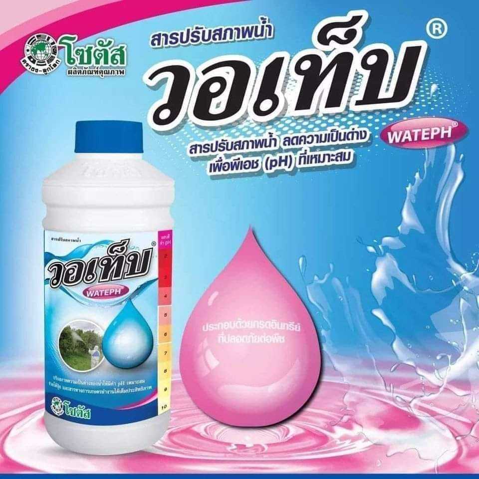 วอเท็บ(สารปรับสภาพน้ำ) ขนาด 1 ลิตร