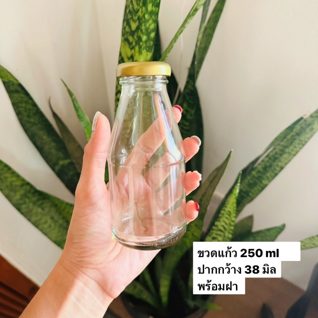 ขวดแก้ว 250 ml พร้อมฝาเกลียวล็อค ปากกว้าง 38mm ฝาอลูมิเนียมสีทอง