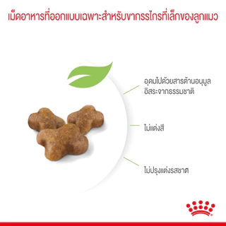 Royal Canin Kitten ขนาด 2kg,4kg และ 10kg อาหารเม็ด สำหรับลูกแมว อายุ 4-12 เดือน