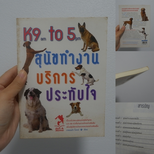 📘BB หนังสือมือสอง📕 :  K9 am to 5 pm สุนัขทำงาน บริการประทับใจ