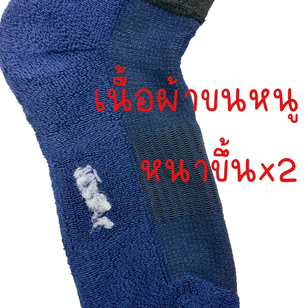 รูปภาพ 3