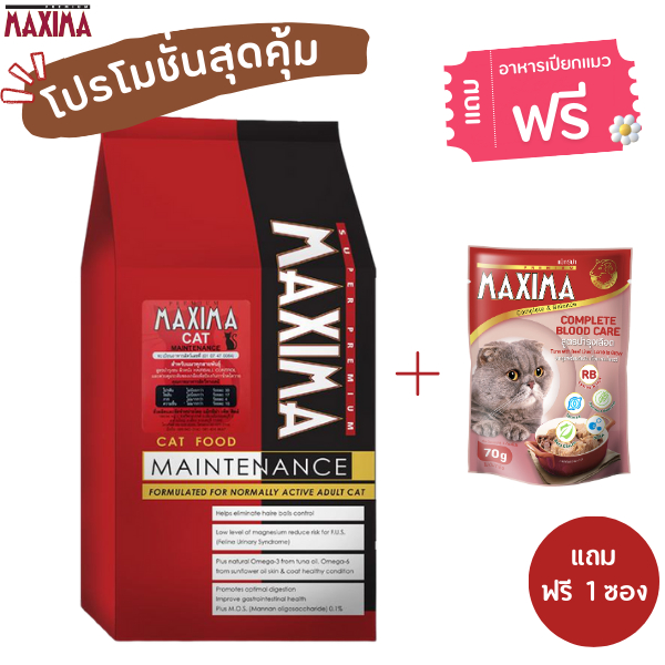 MAXIMA CAT MAINTENANCE 2 KG อาหารสำหรับแมว 2 กก. แถมฟรี อาหารเปียกแมว