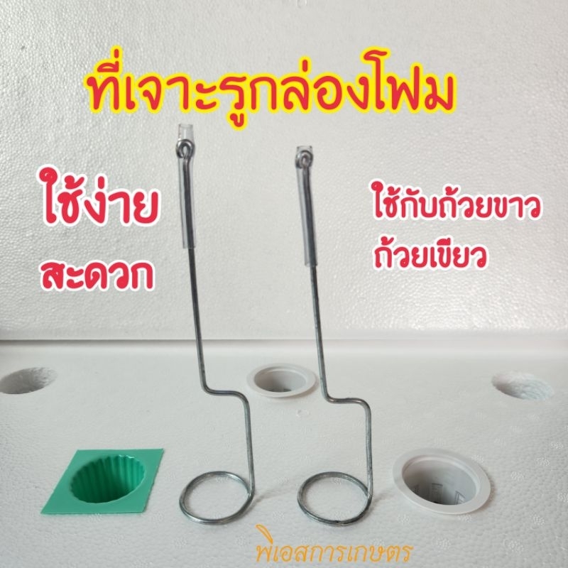 ที่เจาะกล่องโฟม ปลูกผักไฮโดโปรนิกส์ ทั้งแบบทรงกลมและสี่เหลื่ยม