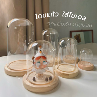 โดมแก้ว🔮(พร้อมส่ง)ใส่โมเดล ตกแต่งห้องมินิมอล ฐานสีไม้สวยธรรม…