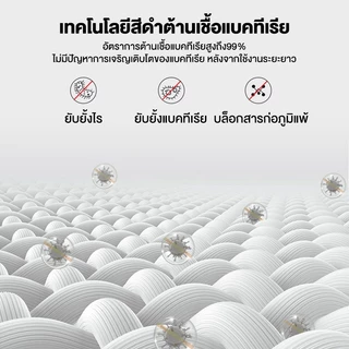 ที่นอนยางพารา100% 3ฟุต 3.5ฟุต 5ฟุต 6ฟุต ลดอาการปวด สัมผัสนุ่ม คลายแรงกดดัน