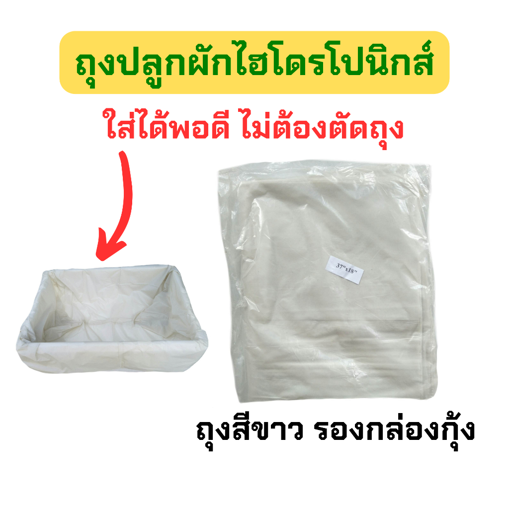 ถุงรองกล่องโฟม กล่องปลาแซลมอนสีดำ (1 กก.มี 20-22 ใบ) ปลูกผักไฮโดรโปนิกส์