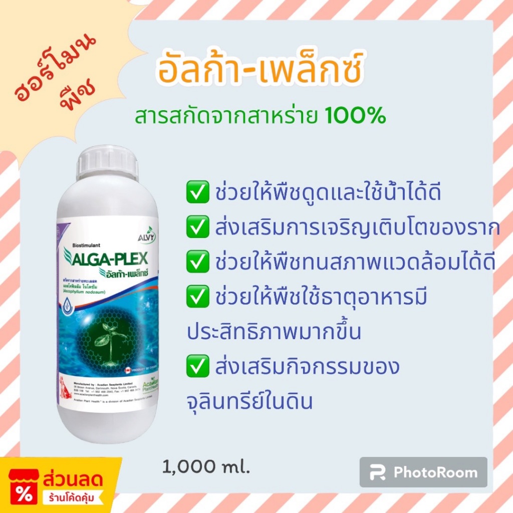อัลก้า-เพล็กซ์ สกัดจากสาหร่ายทะเลสด 100% ช่วยเพิ่มการเจริญเติบโต ทนแล้ง ทนสภาพอากาศได้ดีขึ้น 1 ลิตร