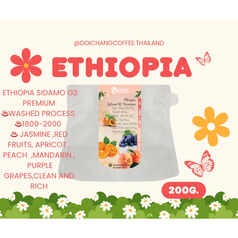 เมล็ดกาแฟ Ethiopia sidamo G2  premium (200g.)