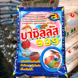 บาซิลลัส999 จุลินทรีย์ผงสำหรับบำบัดน้ำเสียในบ่อเลี้ยงสัตว์น้ำ ช่วยสร้างสีน้ำ ลดความเครียด ควบคุม pH