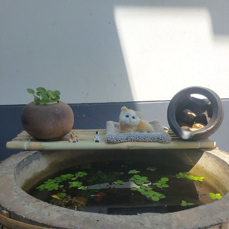 รูปภาพ 2