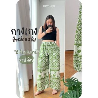 💙กางเกงช้าง 