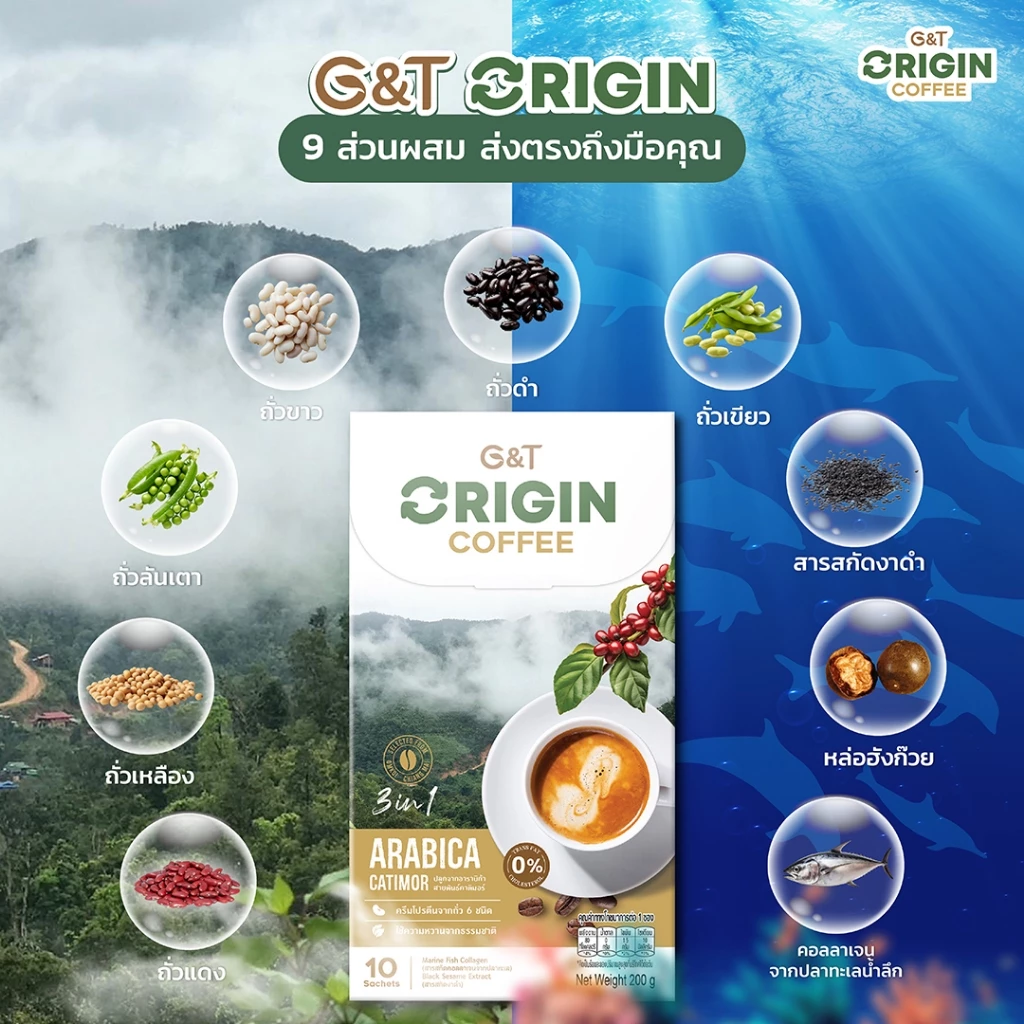 G&T Origin Coffee 3in1 ผสมงาดำ คอลลาเจน โปรตีนถั่ว 6 ชนิด thumbnail 10