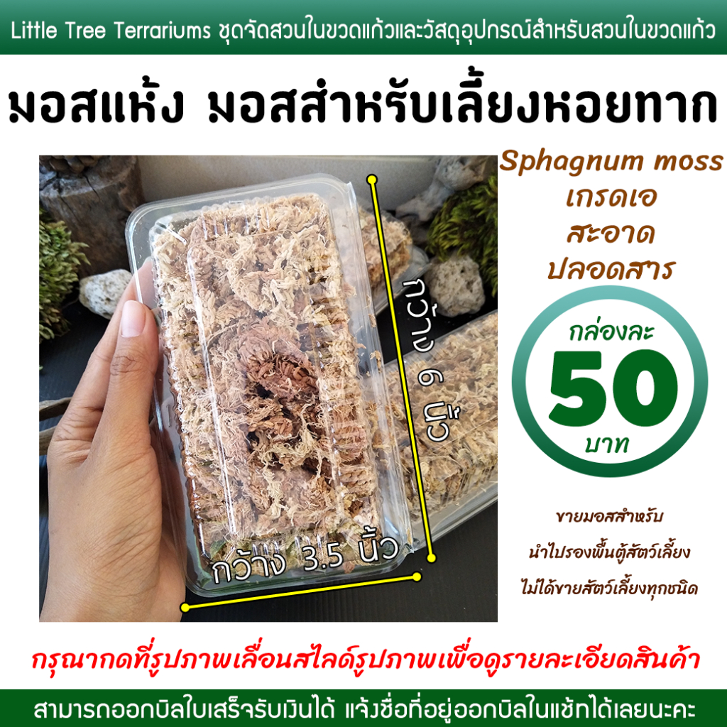 มอสเลี้ยงหอยทาก มอสแห้ง สแฟ็กนั่มมอส Sphagnum moss กล่องละ 50 บาท