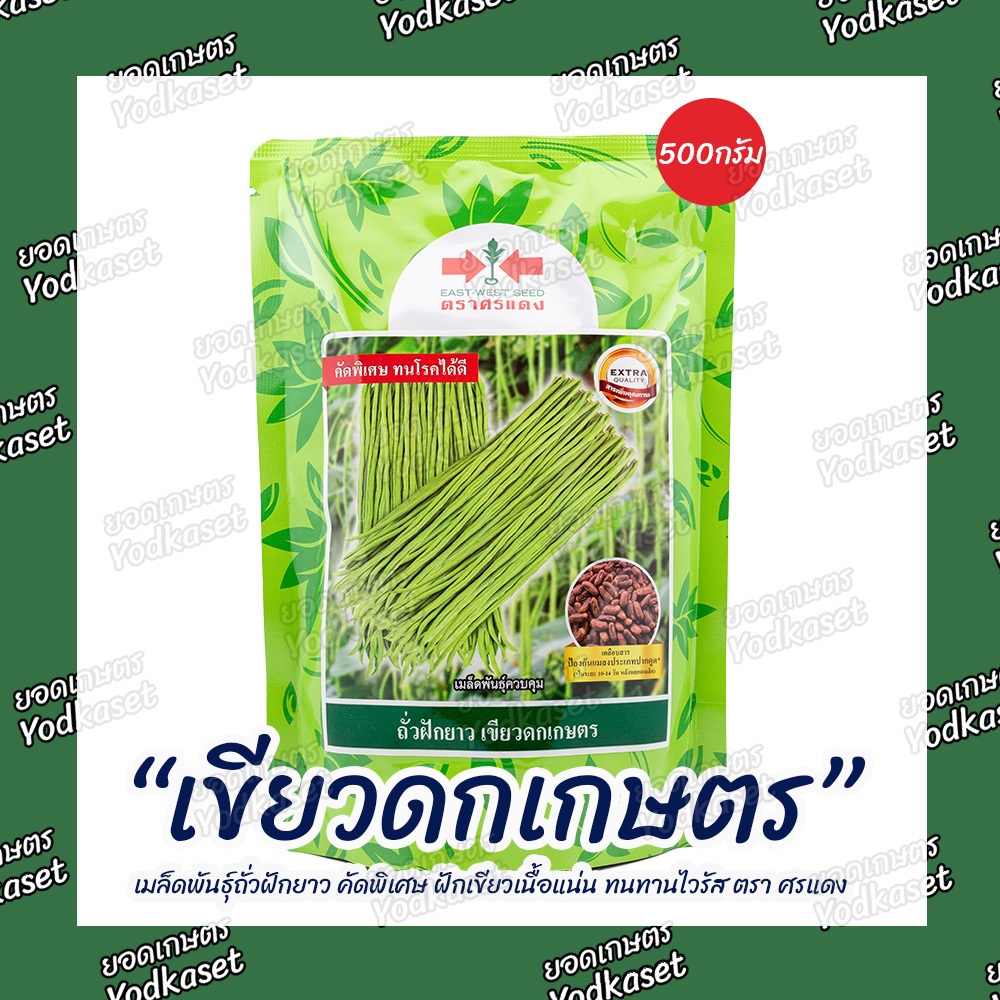 เมล็ดพันธุ์ถั่วเนื้อ“เขียวดกเกษตร”ขนาด500กรัม ตราศรแดง
