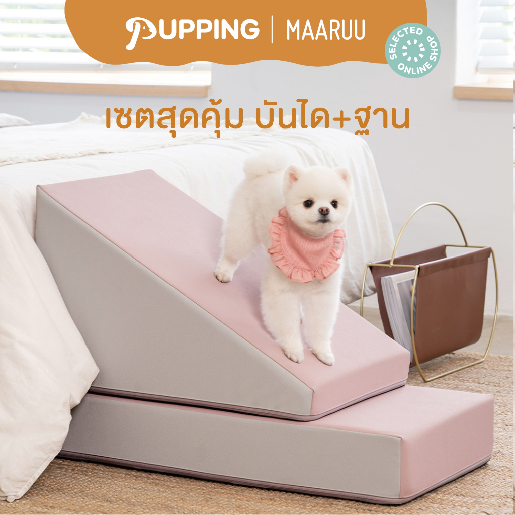 Set สุดคุ้ม Pupping Slide / Step + Base Step ชุดทางลาดหรือบันได พร้อมฐานเตียงเสริมความสูง ( แยกชิ้น )