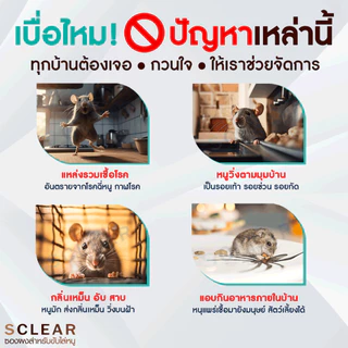 ไล่หนู สเปรย์ไล่หนู SCLEAR ไล่หนู ฟรี คู่มือการใช้งาน ฉีดไล่หนู (เก็บเงินปลายทาง ส่งไว) ไล่หนู