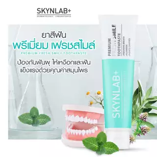 [SET 3 ชิ้น] SKYNLAB ยาสีฟันพรีเมี่ยมเฟรชสไมล์ ขนาด 160g [ป้องกันฟันผุ ลมหายใจหอมสดชื่น]