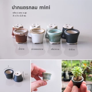 กระถางบอนไซ ญี่ปุ่น บอนไซจิ๋ว ต้นไม้จิ๋ว collection mini By miNATURE_c กระถางเซรามิค เกรดส่งออก
