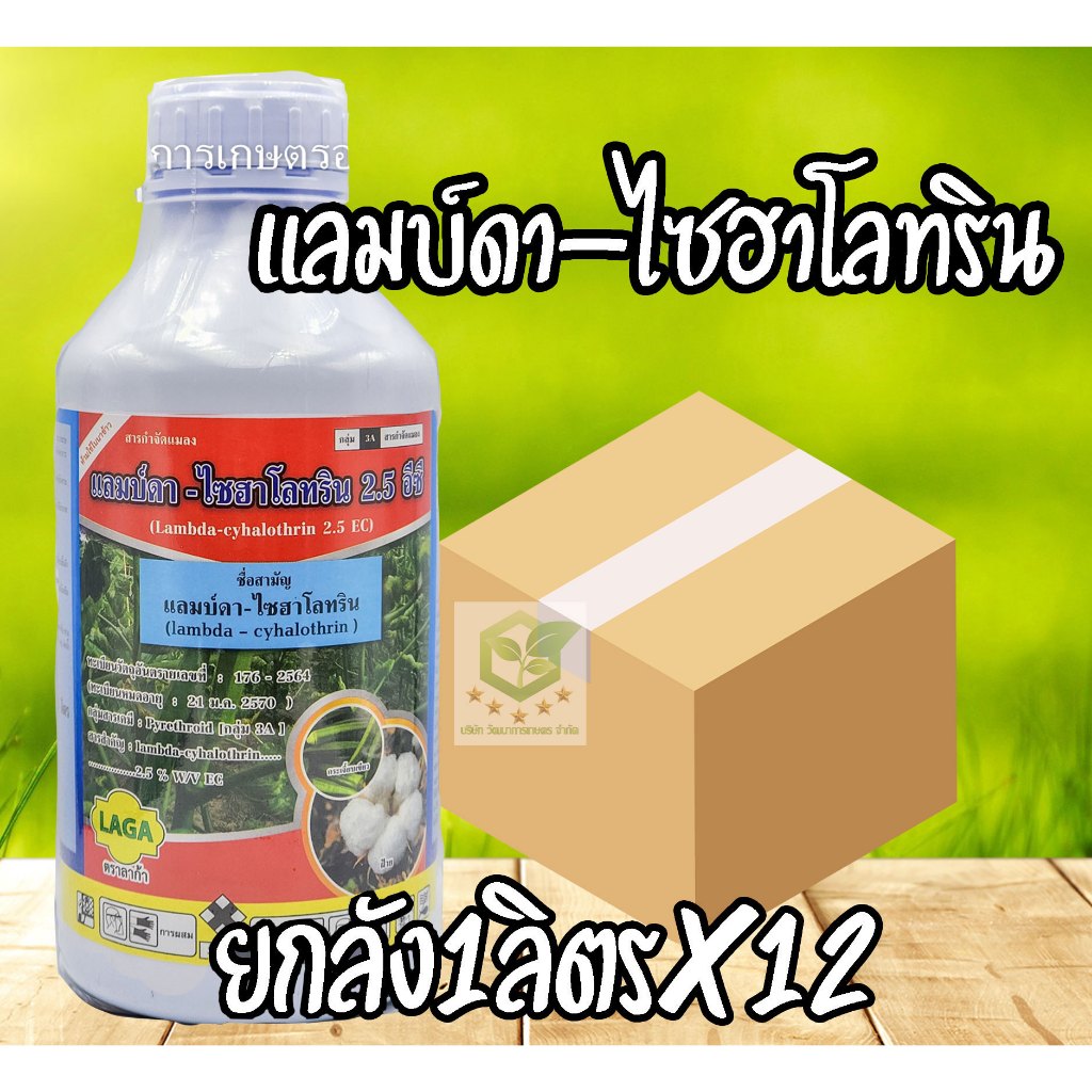 / ยกลัง 12ขวด / แลมบ์ดา ไซฮาโลทริน 66 ขนาด 1 ลิตร สารกำจัดแมลง น็อคเย็น แลมด้า แมลง เพลี้ย หนอน แลมด้า แลมดา