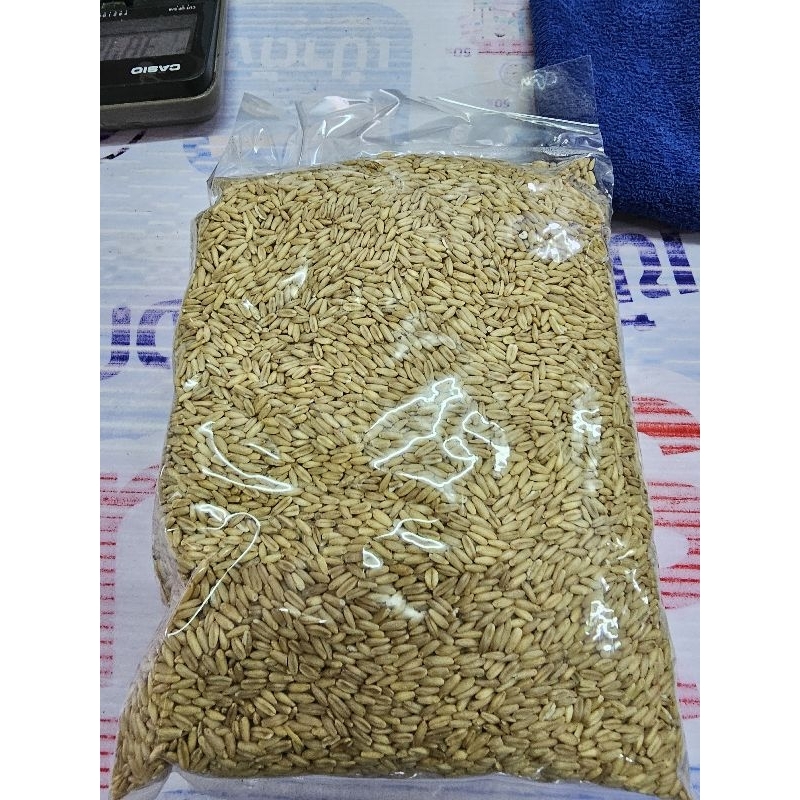 อาหารนก ข้าวโอ้ด แบ่งกิโลขาย ขนาด1กิโล