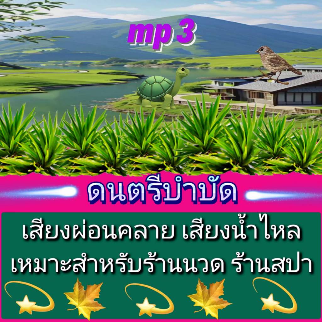 [พรเทวะ] แฟลชไดร์ฟ mp3 ดนตรีบำบัด เสียงผ่อนคลาย เสียงน้ำไหล เหมาะสำหรับ ร้านนวด ร้านสปา 8 ชั่วโมงเต็ม ใช้กับเครื่องเล่น