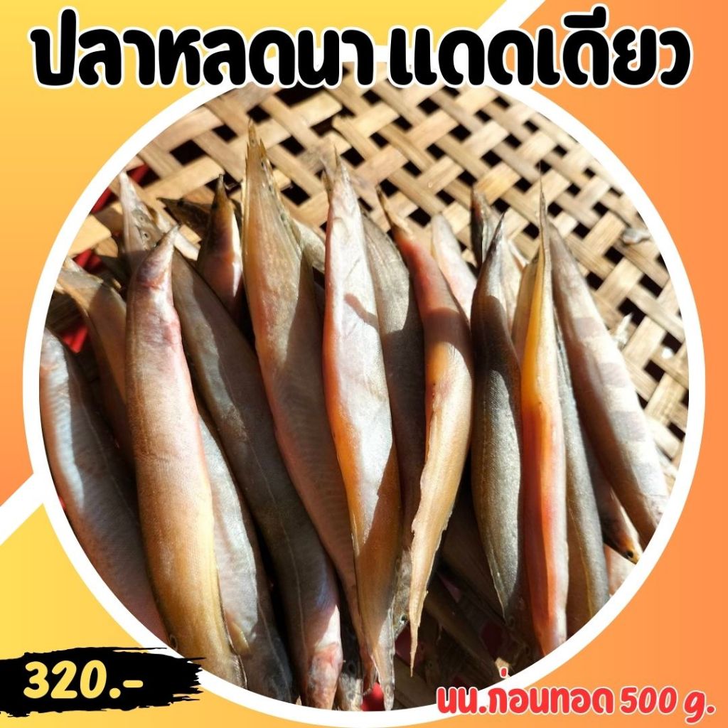 🔥น่ากินๆ🔥ปลาหลดแดดเดียว ปลาเนื้อแน่น สดใหม่อร่อย รสชาติดี ขนาดไม่ใหญ่ (นน.500g)/แพค