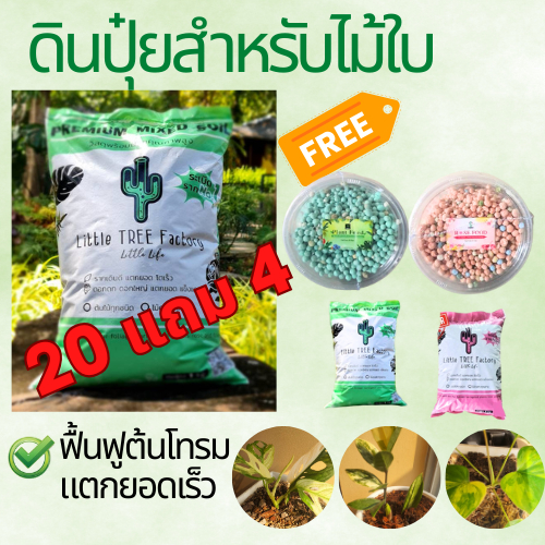 ปุ๋ยดินไม้ใบ ฟื้นฟูต้นโทรม เร่งการแตกยอด 20 แถม 4   Little TREE Factory ปุ๋ยกุหลาบ