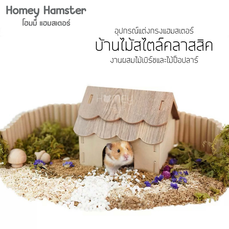 Homey Hamster บ้านหลบแฮมสเตอร์ Sweet Sugar กรงแฮมสเตอร์ จักร กล่องขุด ท่อมุด hedgehog planet tafit ร