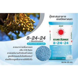 ปุ๋ยคอมปาวด์ 8-24-24 ขนาด 25 กก . สูตรสะสมอาหารมี Biostimulant กลุ่มช่วยเร่งการดูดซึมของระบบราก