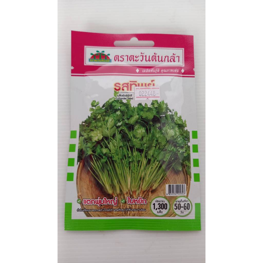 ผักชี รสทิพย์ V44
